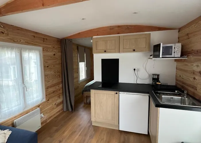 مكان تخييم La Roulotte Des Gaillots *