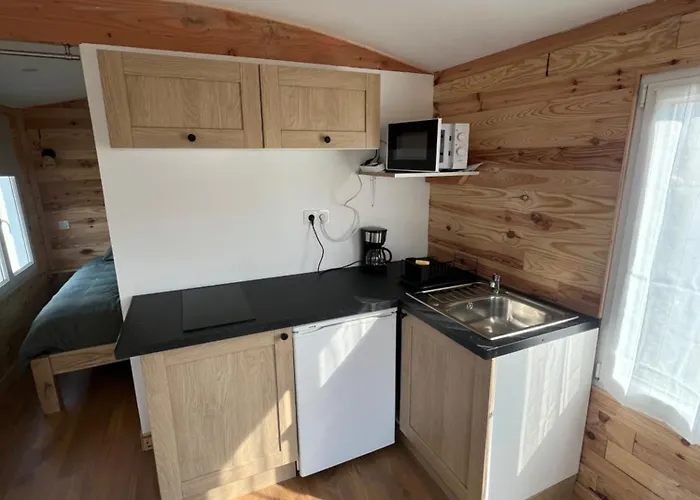 مكان تخييم La Roulotte Des Gaillots *